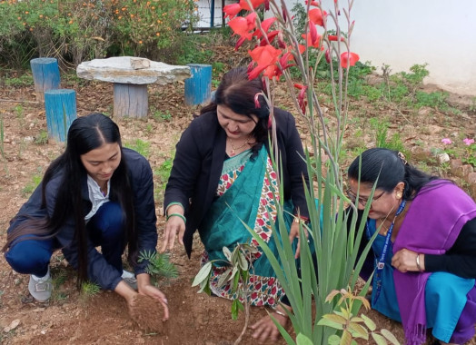विश्व वातावरण दिवस (जुन-५)का दिन जिल्ला प्रशासन कार्यालय, तेह्रथुमको परिसरमा वृक्षारोपण कार्यक्रमका तस्बिरहरू।