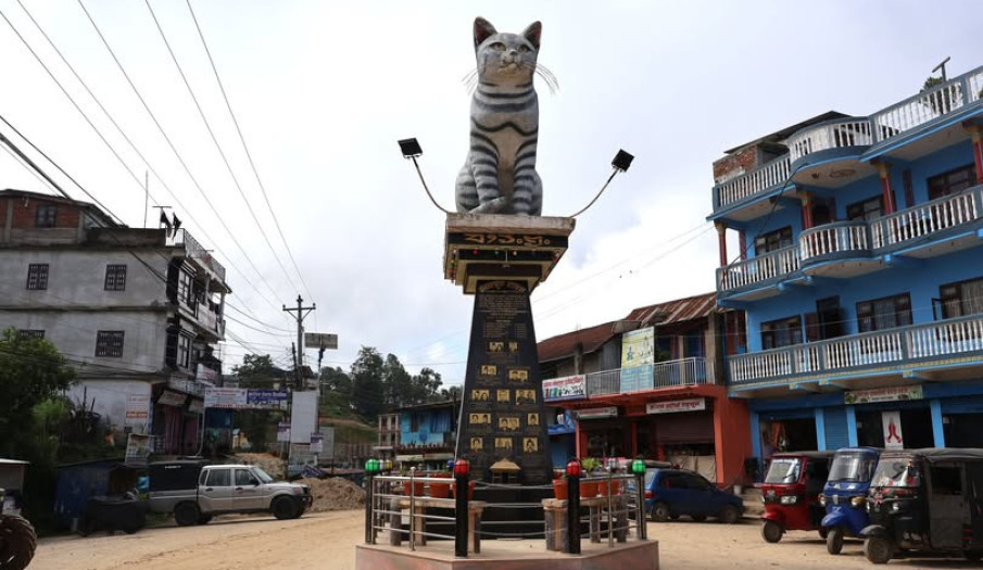 बिरालो स्तम्भः म्याङलुङ्ग बसपार्क